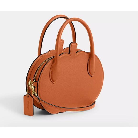 Coach Pumpkin Bag - Picture 4 of 9